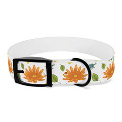 Autumn Pups Dog Collar
