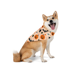 Bats And Pumpkins Halloween Bandana
