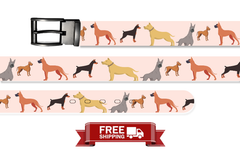 Great dane Multicolor Belt With Metal Buckle