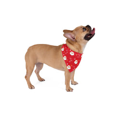 Santa Claus Red Pet Bandana
