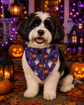 Pumpkin Halloween Bandana