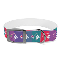 Rainbow Dog Collar