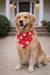 Santa Claus Red Pet Bandana