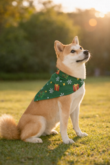 Christmas Presents Green Pet Bandana