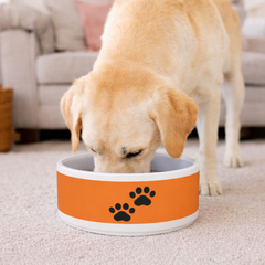 Paws Pet Bowl Orange