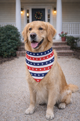 4th of July Red Blue Pet Bandana
