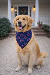 4th of July Firework Pet Bandana