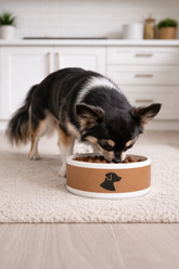 Dog Pet Bowl Brown