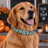 Bats Halloween Dog Collar