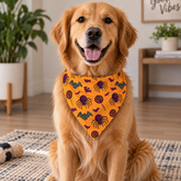 Spooky Spider Halloween Bandana