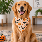 Bats And Pumpkins Halloween Bandana
