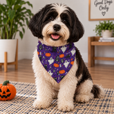 Pumpkin Halloween Bandana