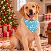 Decorative Christmas Pet Bandana Sky Blue