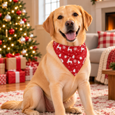 Decorative Christmas Pet Bandana Red