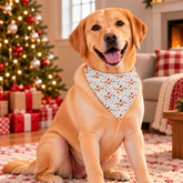 Jolly Reindeer Christmas Pet Bandana With Metal Buckle