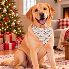 Jolly Reindeer Christmas Pet Bandana With Metal Buckle