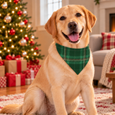 Plaid Green Christmas Pet Bandana