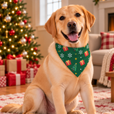 All about Christmas Dog Bandana