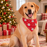 Santa Claus Red Christmas Pet Bandana
