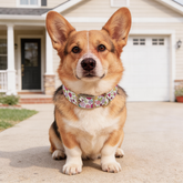 Flora Pups Dog Collar