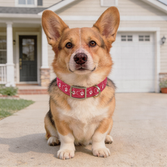 Paw Hearts-Pink Dog Collar