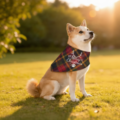 Merry Christmas Pet Bandana