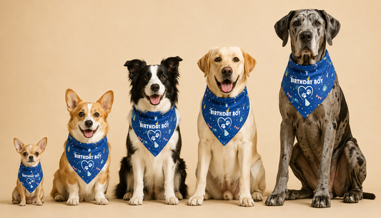 Dog Bandana Sizing