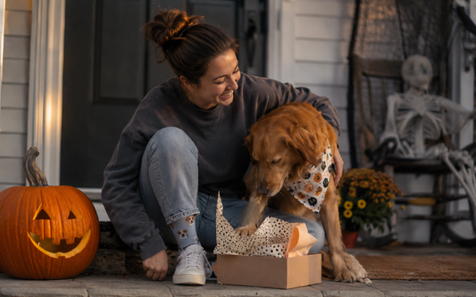 Halloween Gifts for Dog Lovers