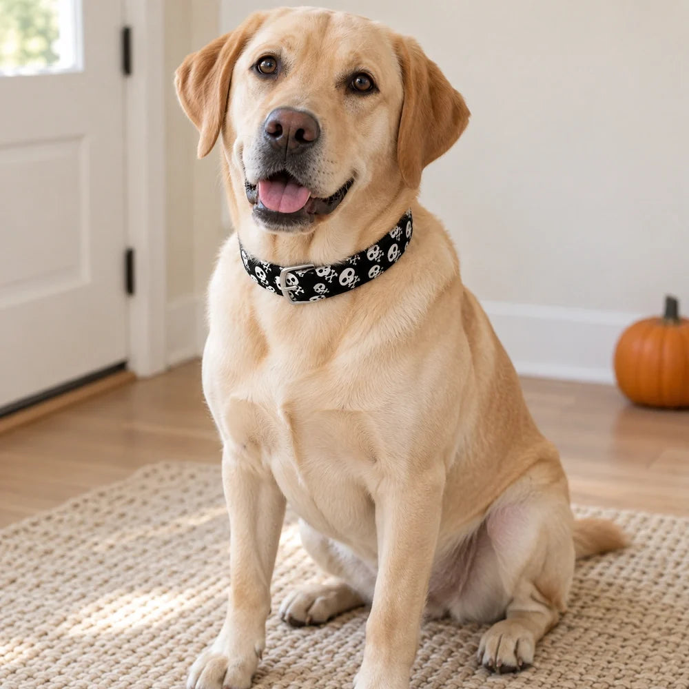 Halloween Dog Collars