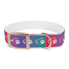Rainbow Dog Collar