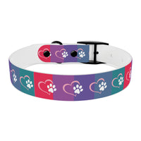 Rainbow Dog Collar