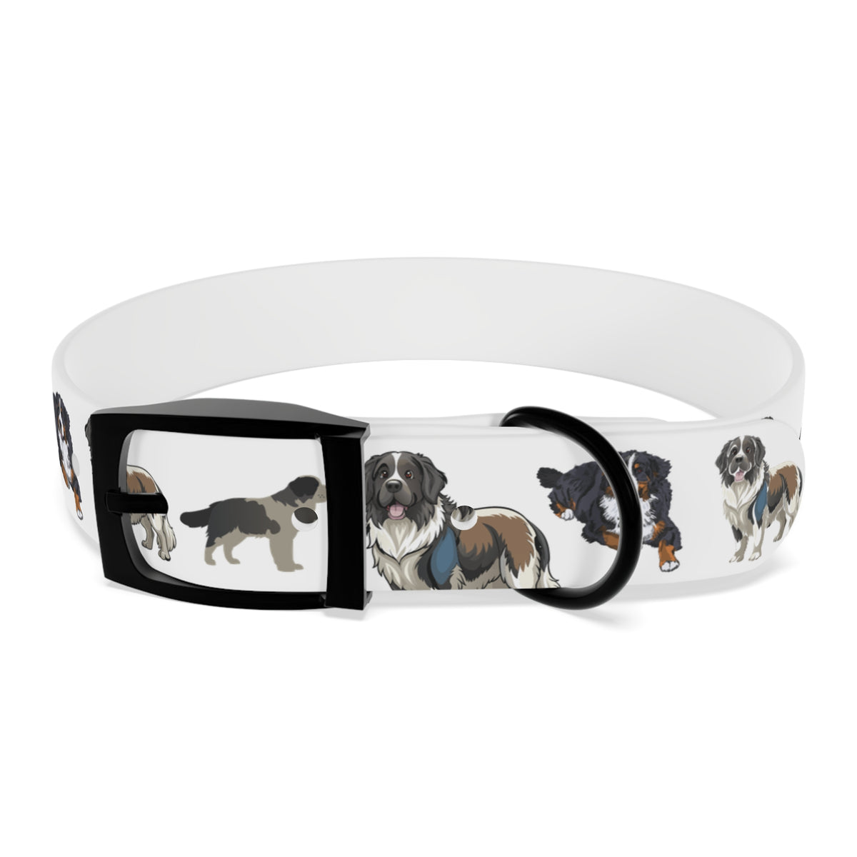 St Bernard-White Dog Collar