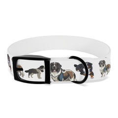 St Bernard-White Dog Collar