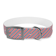 United American Tails Dog Collar