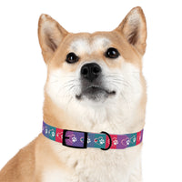 Rainbow Dog Collar