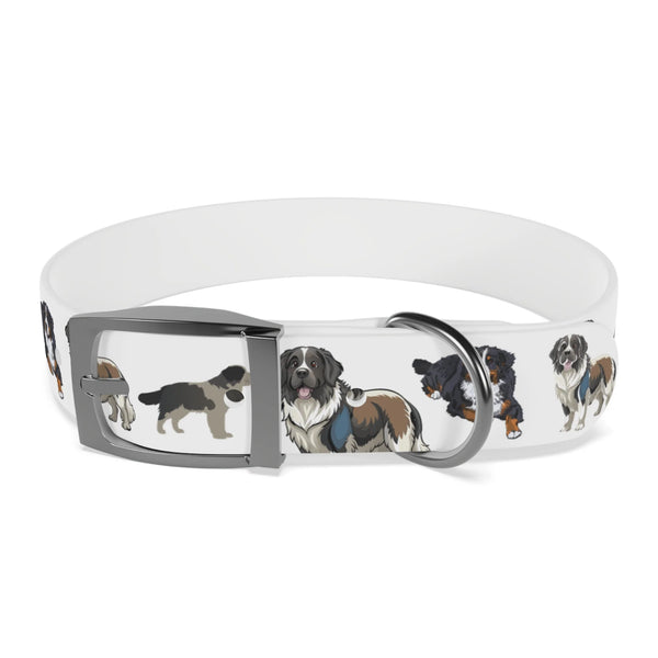 St Bernard-White Dog Collar