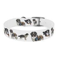 St Bernard-White Dog Collar