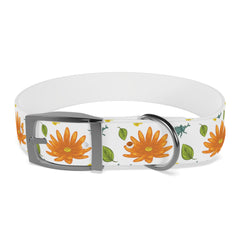 Autumn Pups Dog Collar