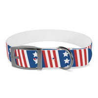 Fireworks Pups Americana Dog Collar