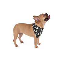 Boo Halloween Bandana