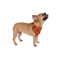 Ghost Monster Cat Spooky Print Handmade Collar Slip On Halloween Bandana