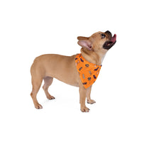 Bats And Candies Halloween Bandana