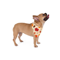 Autumn Leaves Halloween Bandana