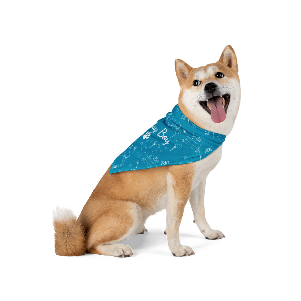 Birthday Boy Sky Blue.