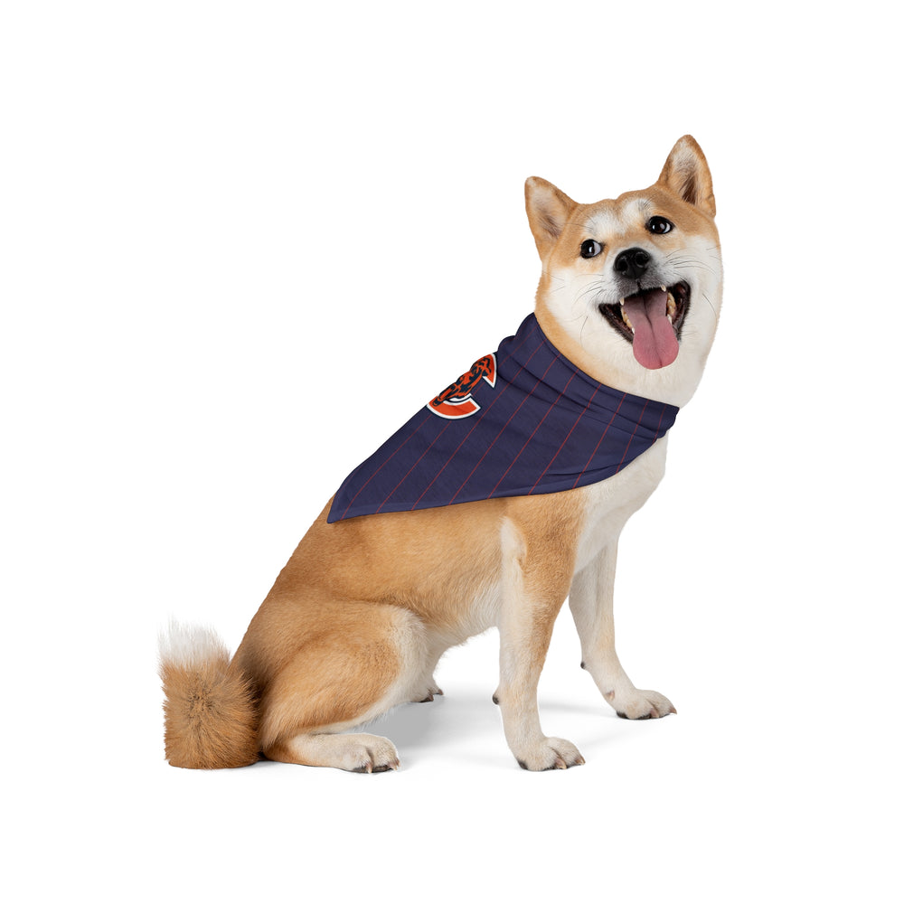 Chicago Bears TIE.