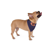 Chicago Bears TIE.