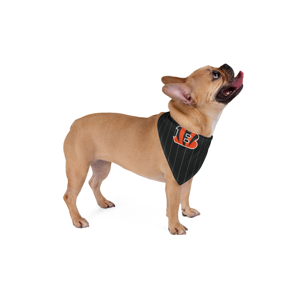 Cincinnati Bengals.