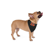 Cincinnati Bengals.