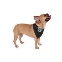 Las Vegas Raiders.