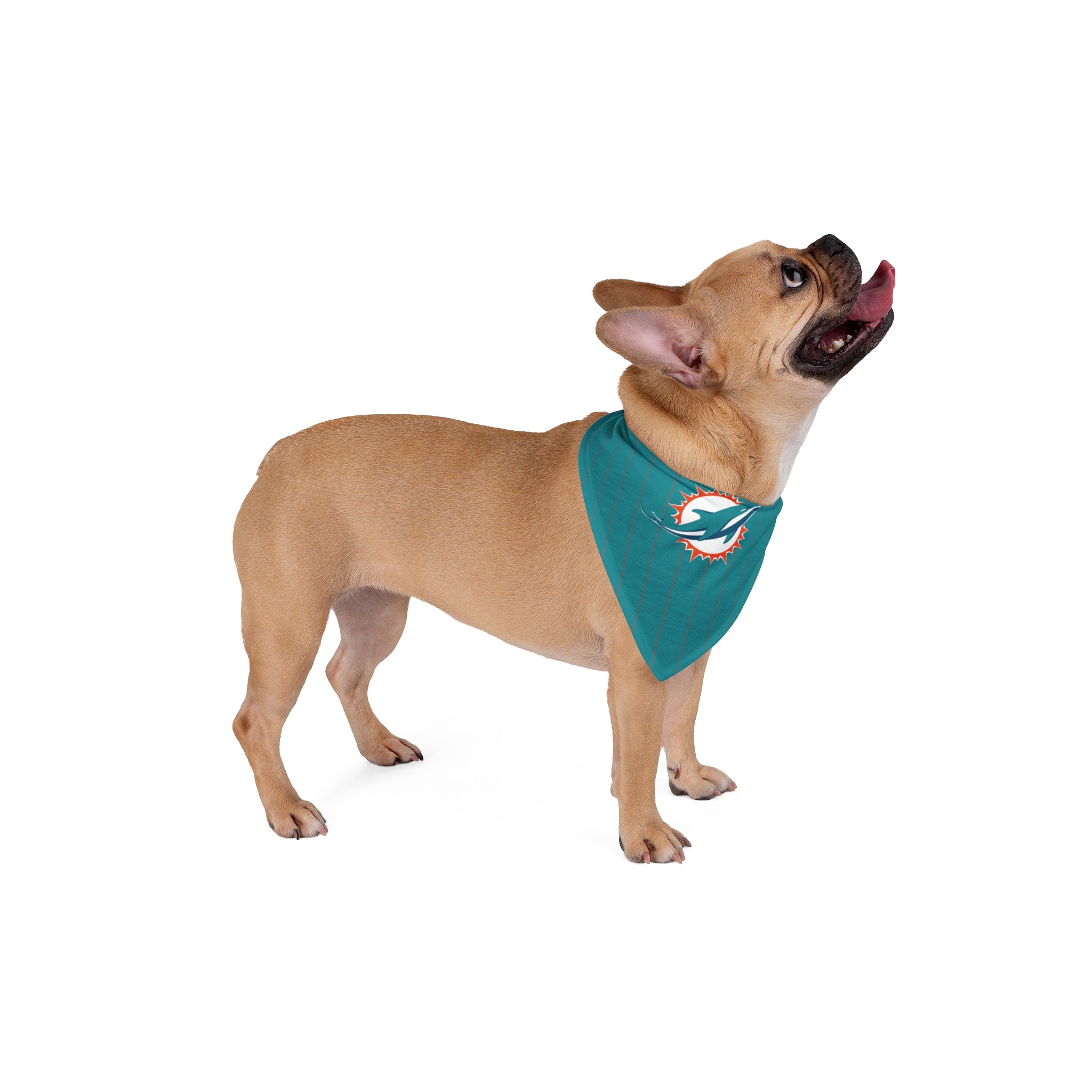 Miami Dolphins.